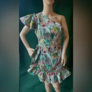 Elliat Zodiacal dress. Rare dress